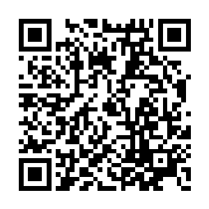 吕轻尘这几天倒是一反常态地没有冒出来骚扰他二维码生成