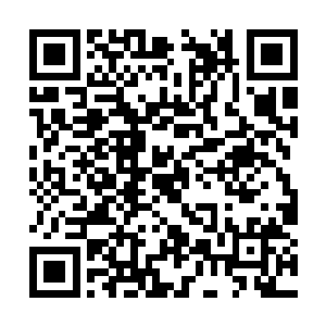 君上的师傅鬼蜮老人这么多年也没能让他出手一试二维码生成