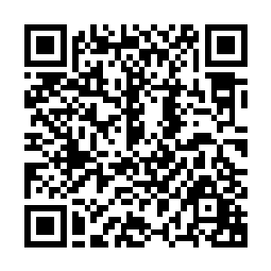君不离已经很久没有在别人面前把四大毒兽和大笨熊召唤出来了二维码生成