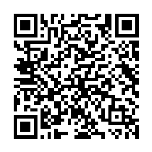 君不见连王校长这种富二代都忍不住往这里面砸钱了吗二维码生成