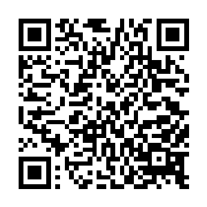 君主大人从来就没有在意过咱们现在在无疆海的一切得失二维码生成