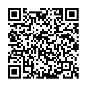 君子宴就把他的十几万的压岁钱看的非常的重要二维码生成