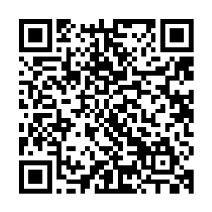 君家开始对整个北宁市下手了……具体今晚到底会发发生什么事二维码生成