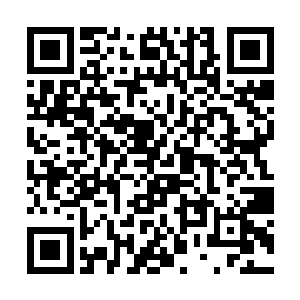 君容祈就拿着君氏集团董事会议上所讨论的方案看着二维码生成