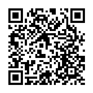 君少的声音黯哑的让苏小爱莫名的紧张激动了起来二维码生成