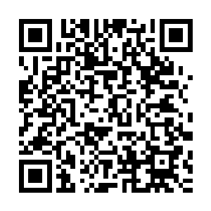 君悦臣看着后车镜里卓嘉慕正乖乖抱着夏天萌的胳膊没有出声二维码生成