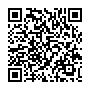 君无妄淡淡的看了眼抱着王瑶馨哭的撕心裂肺的企业小开二维码生成