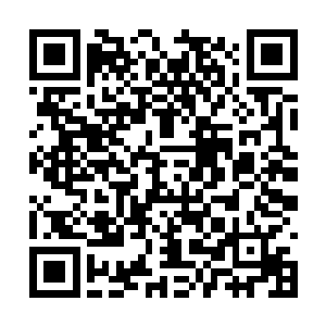 君无敌和将军的目光也是看向秦宇手上的翎毛金箭二维码生成