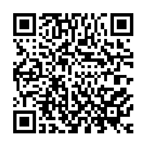 君无极和季疏云的儿子既然能在那样的状况下培养出尸兵母蛊二维码生成