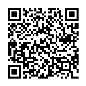 君无极很快就发现了趴在自己胸口睡得一脸满足的人儿二维码生成