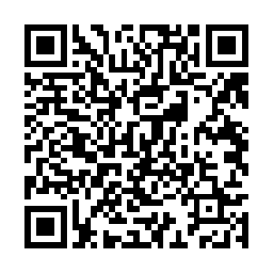 君无极抱着季疏云在大撵内调整了一个舒服的姿势二维码生成