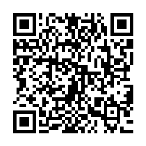君无极看着小家伙转着黑宝石一样的大眼睛一瞬不瞬盯着自己二维码生成