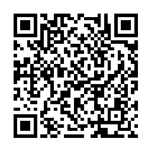 君无极还没从自己的双腿竟然还能动的反应中回神二维码生成