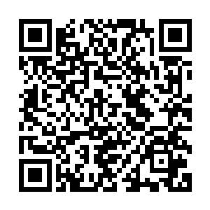 君王殿要是可以这么容易闯进去那我等也就不用在这里等待了二维码生成