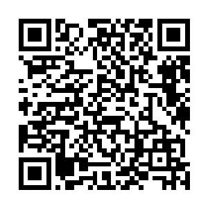 吞下涅槃大补丸的小独角乌烟兽明明才是实力最强的那只二维码生成