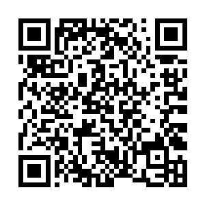 吞其精血……也算是挽回了自己失去墨玉仙莲的损失二维码生成
