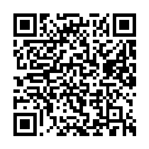 吞噬了蓝鲨灵帅的记忆和幻灵结界神通印记之后二维码生成