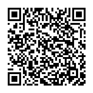 吞噬黑帝三分之一本源后法力太强……就算动用三分之一圣人之躯二维码生成