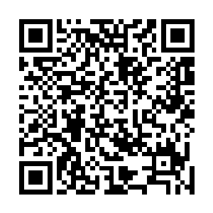 吞天蟒等契约兽才会迅速朝出现魔族气息的地方摸了过去二维码生成