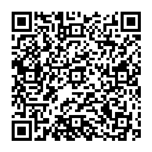 吞火巨蜥这样强横的高阶变异生物也只能被动挨打……将自身的力量全部都集中起来防御二维码生成