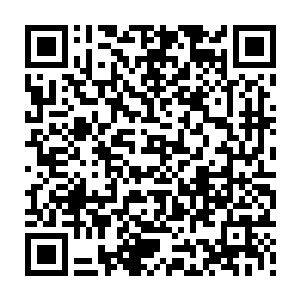 否则……所以悲催的苏落只能选择进入火邪幻兽腹部这样一种危险的方式二维码生成