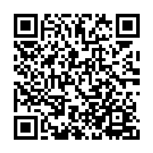 否则不会在现在这样的情况下还要坚持演员之路二维码生成