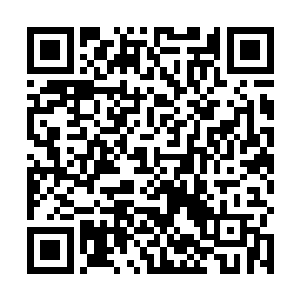 否则不可能一下子积蓄出六个极光爆轰在红龙的身上的二维码生成