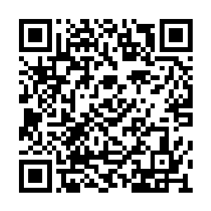 否则不可能陈权和凌云阁的管事都一定要包场了二维码生成