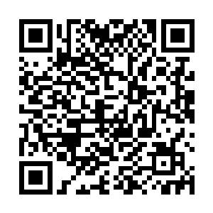 否则严酷的自然环境就会让他们慢慢消亡在历史长河里二维码生成