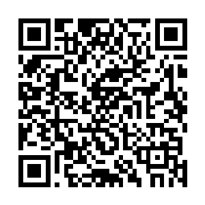 否则九组能源石共同启动形成的巨大压强会把人给碾碎吧二维码生成