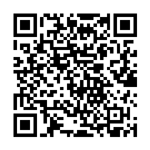 否则也不会出现所有的病例全部是失败的结局的情况了二维码生成