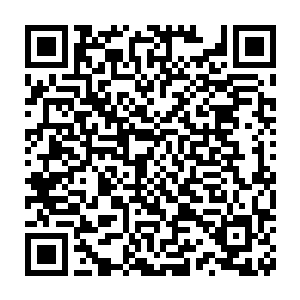 否则也不会分派任务给地仙和真仙……尤其是地仙起到中间承接作用二维码生成