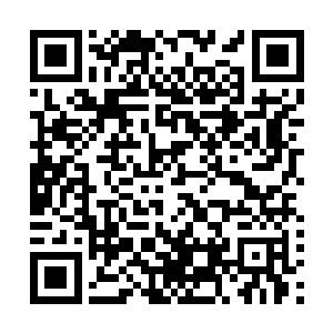 否则也不可能伤害得了至尊境强者的……至尊罡躯太强大了二维码生成