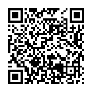 否则也不可能在一个仙王的脸上留下了一个清晰的掌印二维码生成