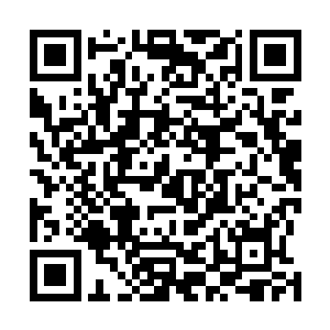 否则二十八宿大阵便会将一切进入阵法内的活物完全灭杀二维码生成