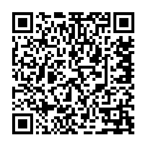 否则从你的表现里实在很难想像――你和切萨雷这种人简直太让人讨厌了二维码生成