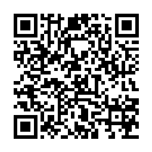 否则他也不介意看着这人就如同过去的大大小小首领一样二维码生成