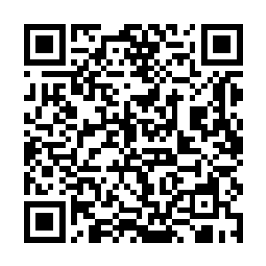 否则他也不会在过往的十数年时间对月冰凝淡漠疏离二维码生成