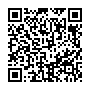 否则他们不会让当地的部族武装帮他们拦截我们二维码生成
