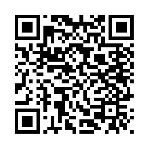 否则他们要是跟楚枫一个修为的话二维码生成
