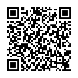 否则他真要惊骇与赤炎天龙帝血脉之力的强大了二维码生成