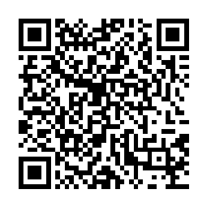 否则他要是听说自己的学生竟然要考一考自己的掌门师叔二维码生成