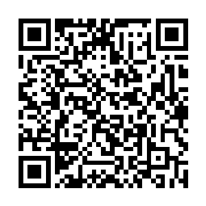 否则伪仙界有无数的仙医能够让杨晓芸容貌恢复如初二维码生成