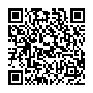 否则估计她连跟夏云杰一同坐在后车位的勇气都没有了二维码生成