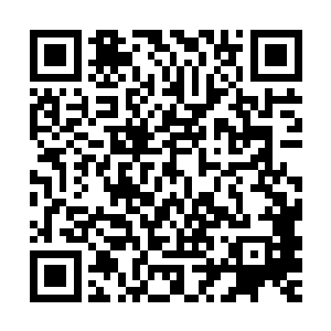 否则你当我愿意他们缺席这次世纪之战么……你耐心的等待就是二维码生成