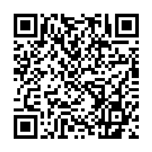 否则像麻生沙树这样的人物不会失态到让他侄子去剖腹谢罪二维码生成