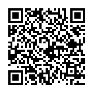 否则公司对于我的这件事情也不会用这么消极的处理方法了二维码生成