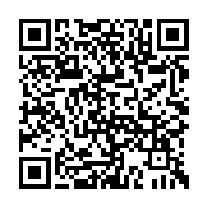 否则到时他只怕会将所有的大夫请过来为她看病二维码生成