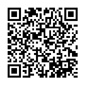 否则制作这么一个如封似闭灵阵就要花费许紫烟一天一夜的时间二维码生成