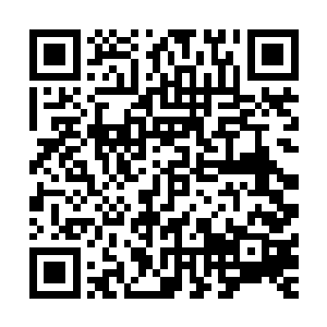 否则哪怕是创世神雷或者是灭世天火也顶多只能与其拼个平手二维码生成